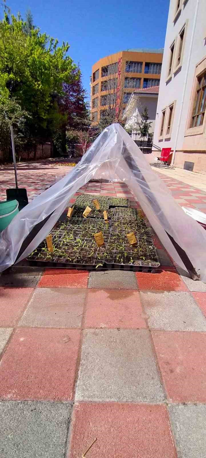 Y&uuml;k&uuml;ml&uuml;lerin ektiği tohumlardan &ccedil;ıkacak &uuml;r&uuml;nler ihtiya&ccedil; sahiplerine dağıtılacak
