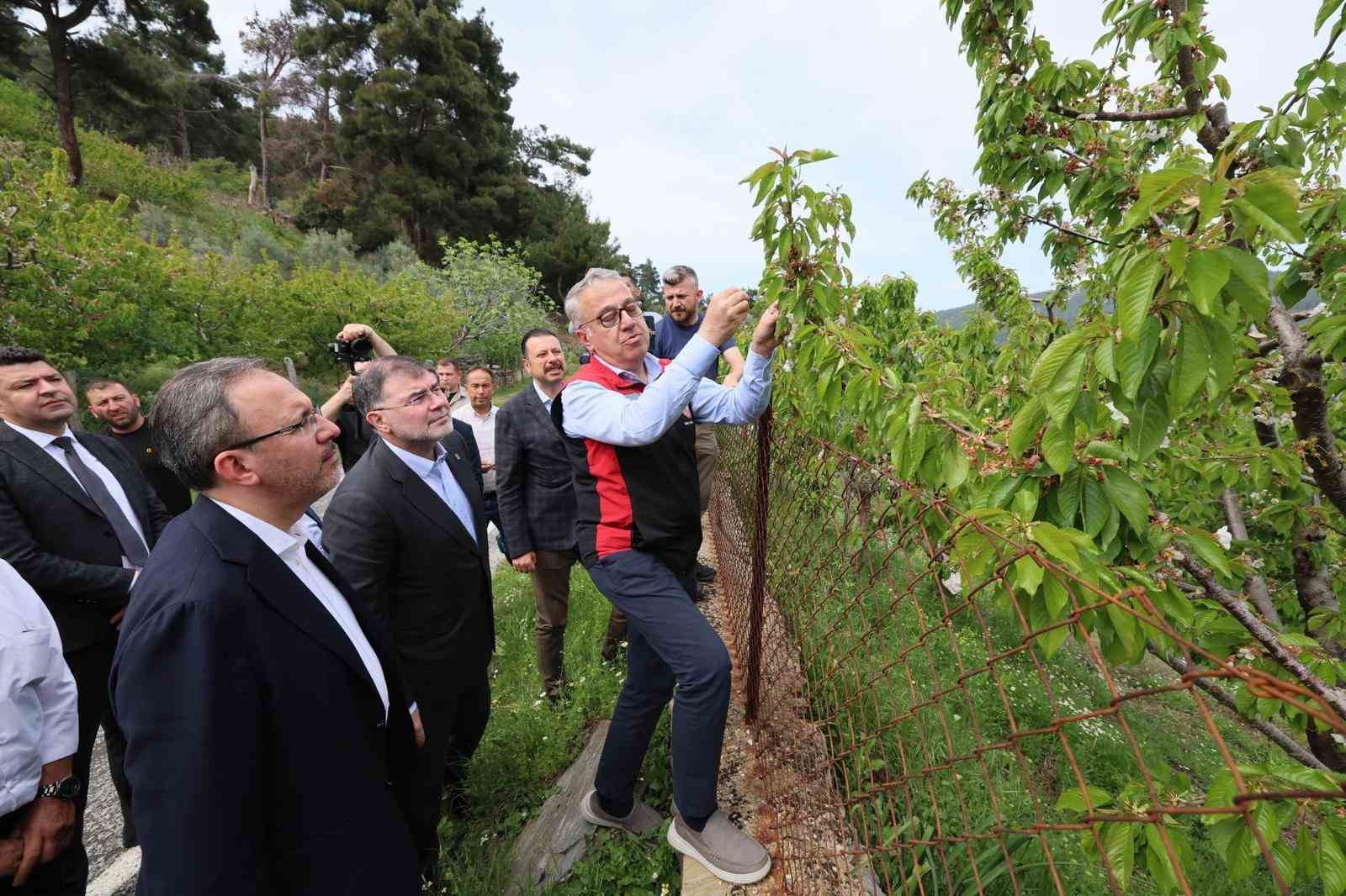 Kasapoğlu’ndan zirai don açıklaması: "Çiftçilerimizin yanındayız"