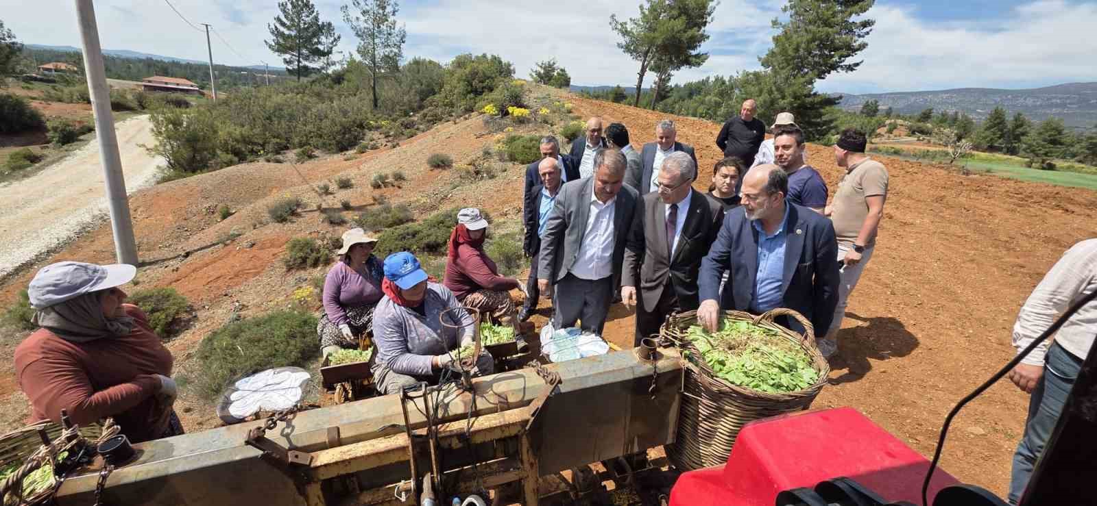 Başkan Pütün, Genel Başkan Yardımcısı Osmanağaoğlu ile birlikte Beyağaçlı çiftçilerle buluştu