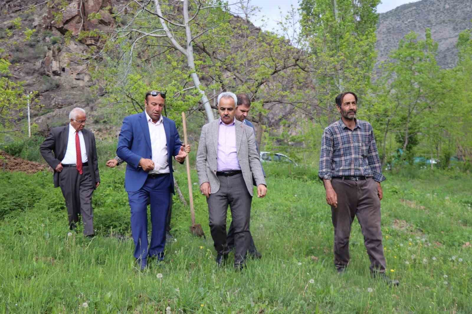 ’Meyve deposu’ Ayvalı Mahallesi’nde don meyve ağaçlarına zarar verdi