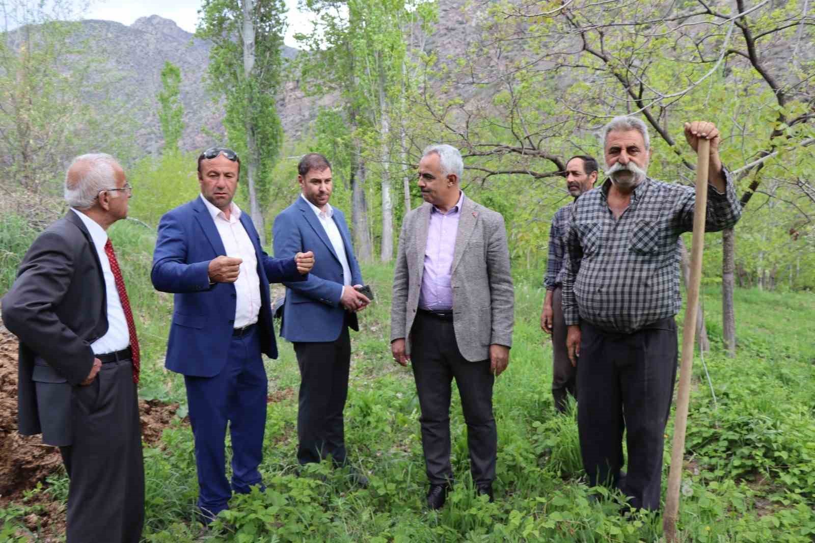 &rsquo;Meyve deposu&rsquo; Ayvalı Mahallesi&rsquo;nde don meyve ağa&ccedil;larına zarar verdi
