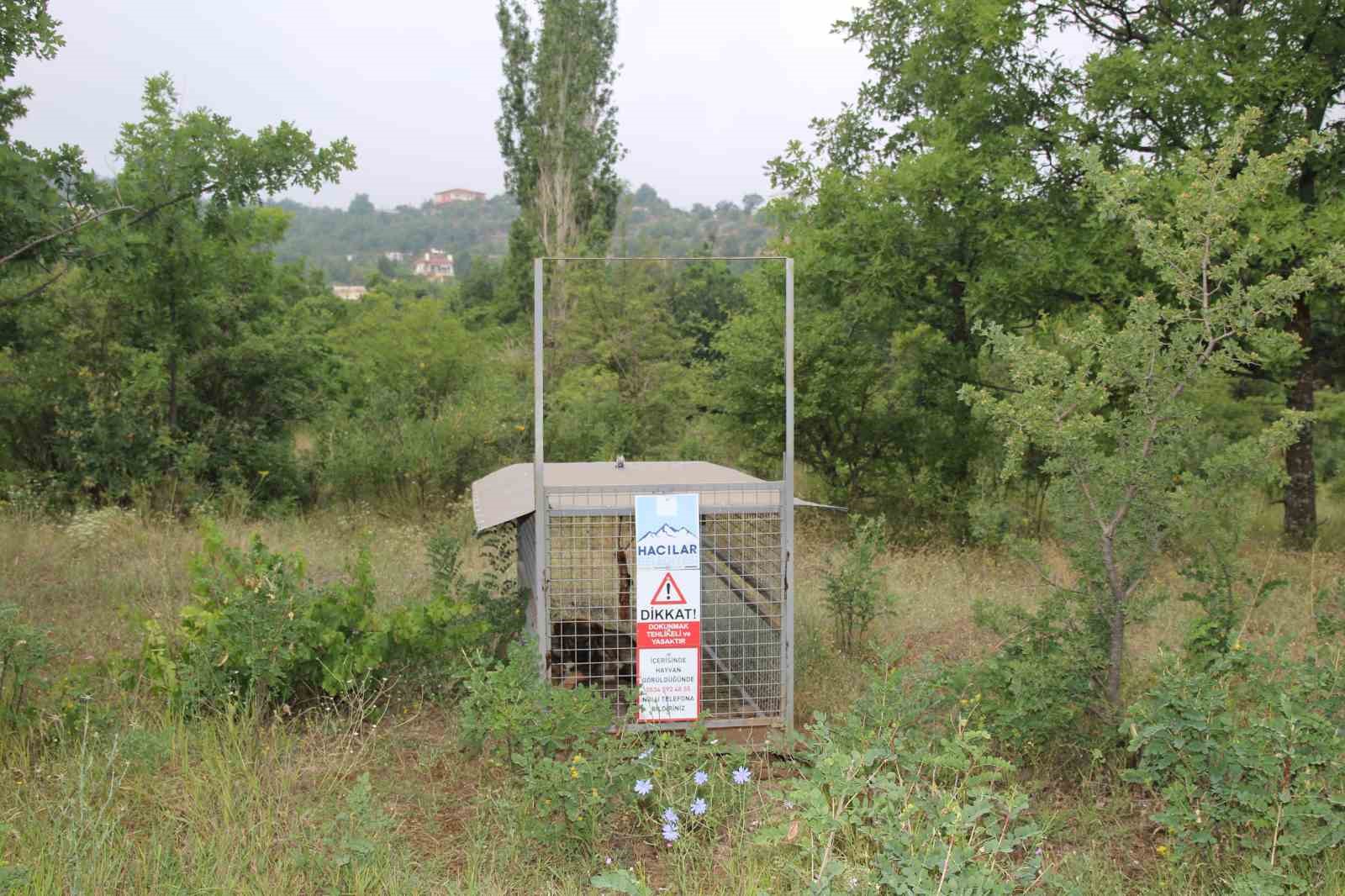 Başkan Özdoğan: "Vatandaşımızın güvenliği her şeyden önce gelir"