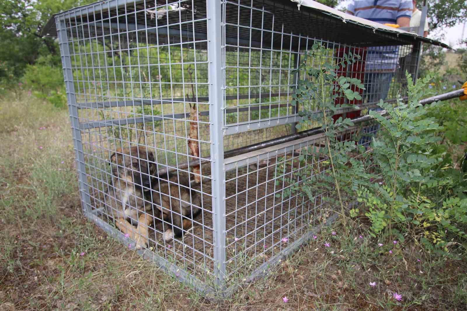 Başkan Özdoğan: "Vatandaşımızın güvenliği her şeyden önce gelir"