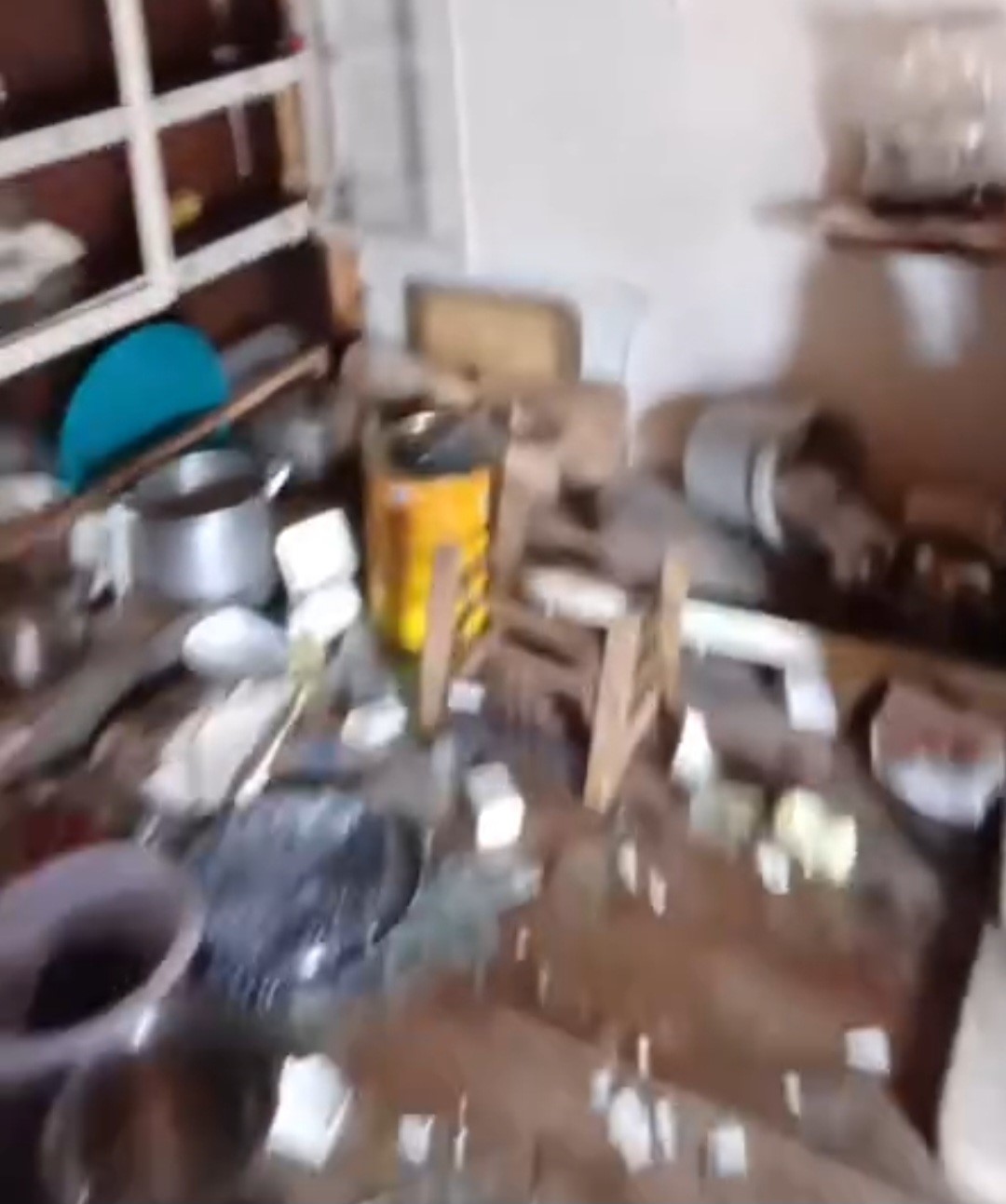 Rize’de kış uykusundan uyanan ayılar bu kez Anzer Yaylası’ndaki evleri talan etti