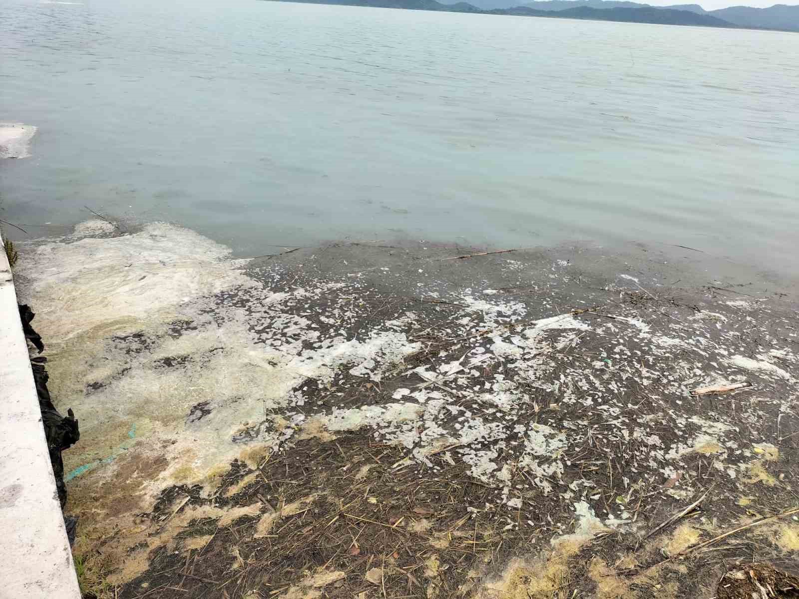 Köyceğiz Gölü’ndeki müsilaj tedirgin etti