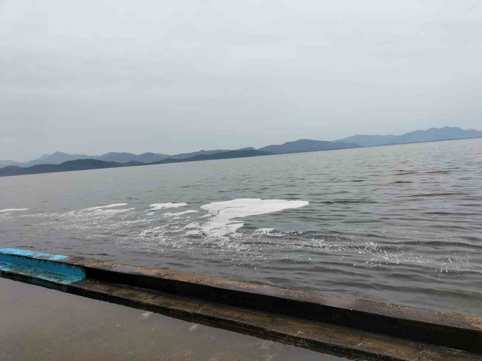 Köyceğiz Gölü’ndeki müsilaj tedirgin etti
