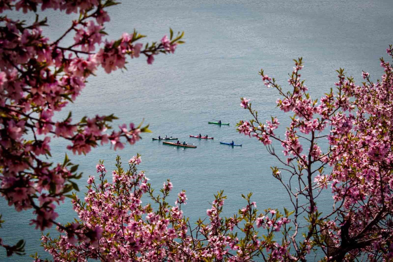 Akdamar Adası Badem Çiçeği Foto Safarisi sonuçlandı