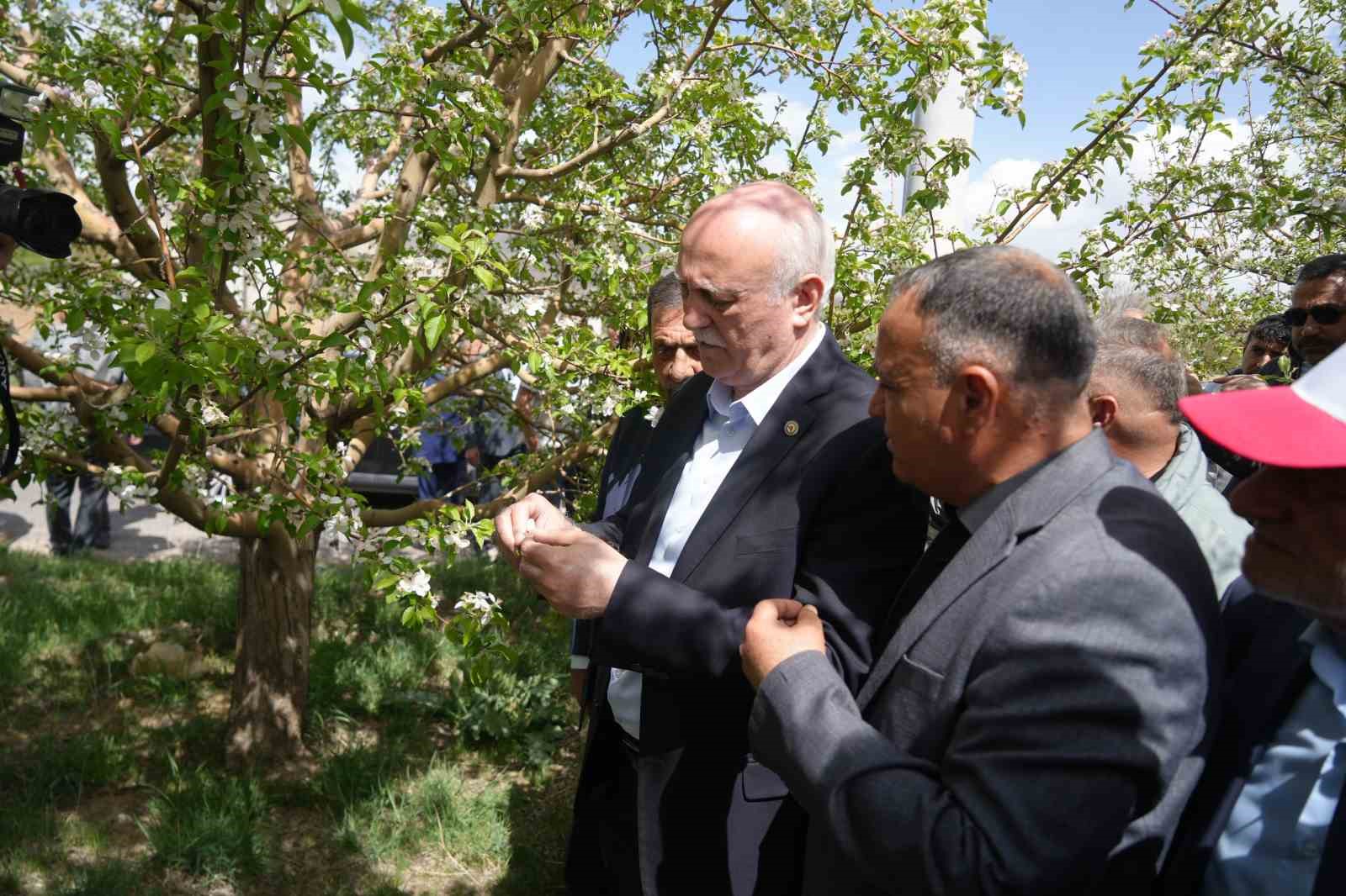 TZOB Genel Başkanı Bayraktar, Niğde’de zirai don zararı gören bahçeleri inceledi