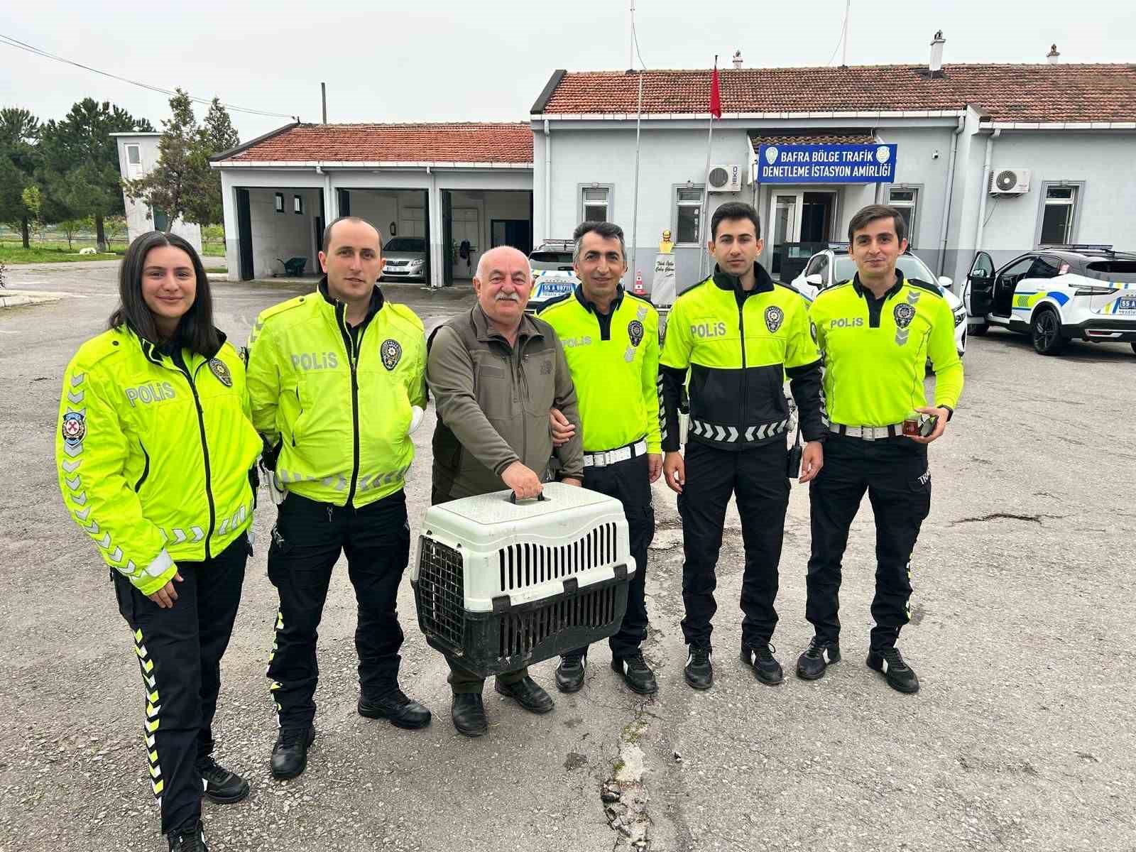 Polisin bulduğu yaralı halde bulduğu doğan koruma altına alındı