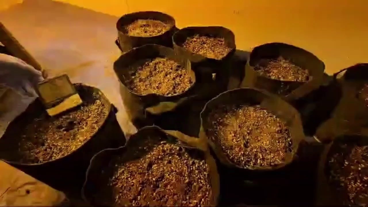 Jandarmadan uyuşturucu operasyonları: 110 gözaltı