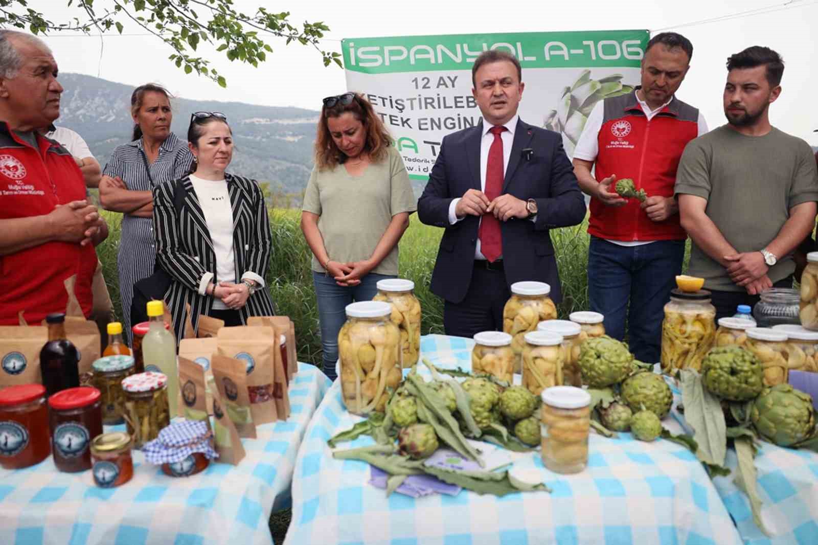 Akçapınar’da ‘Hibrit Enginar Hasadı Tarla Günü’ düzenlendi