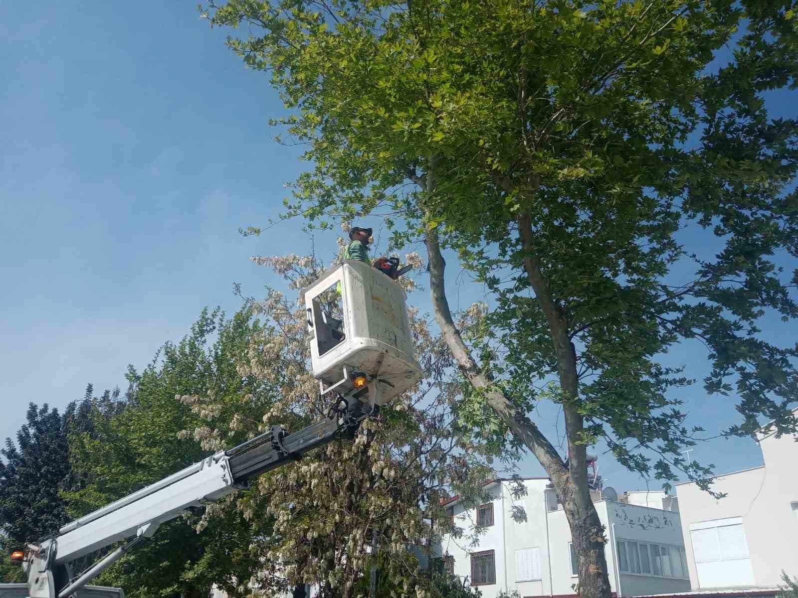 Kuşadası&rsquo;nda Aydın B&uuml;y&uuml;kşehir Belediyesi&rsquo;nin &ccedil;alışmaları s&uuml;r&uuml;yor
