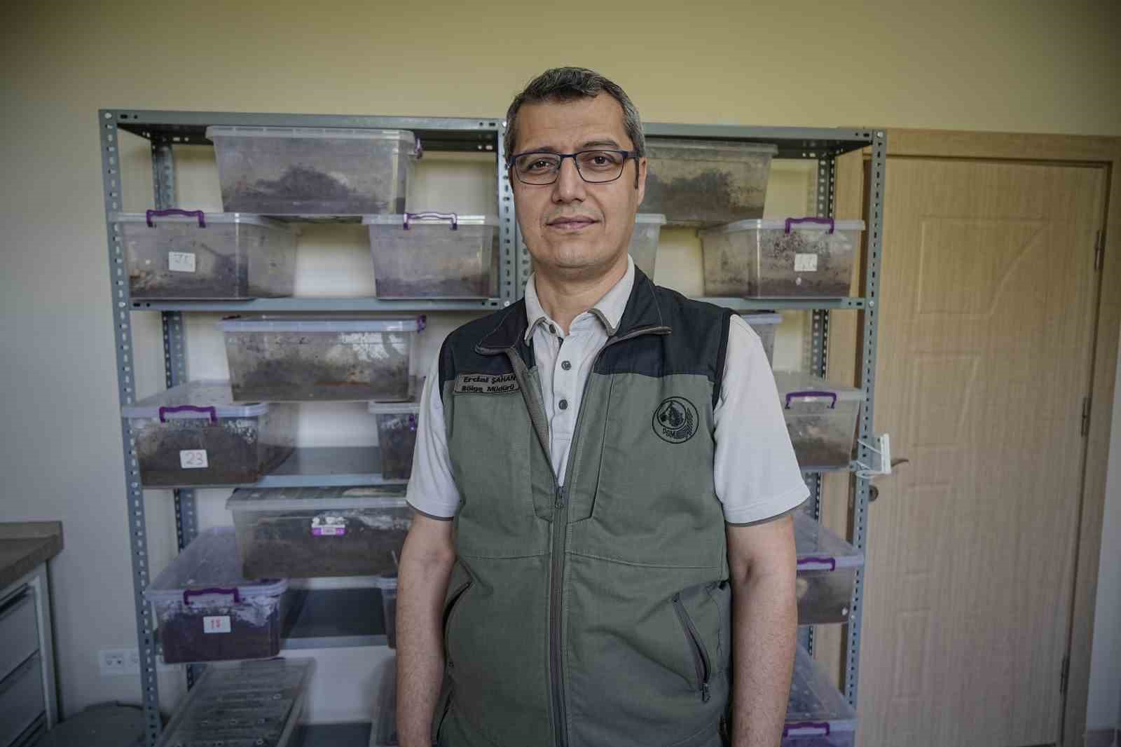 &Ccedil;am ormanları terminat&ouml;rlere emanet
