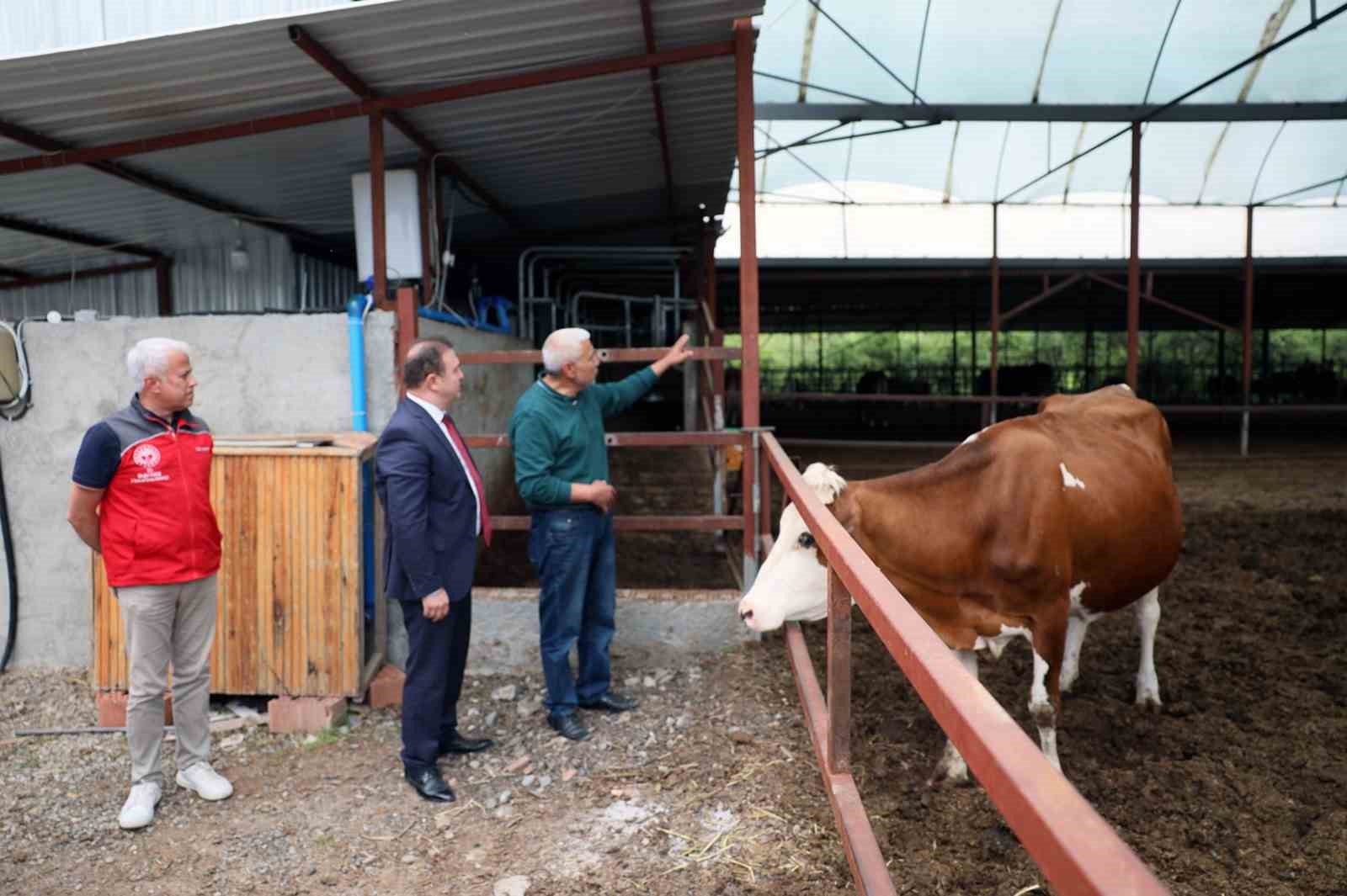 ‘Anneleri Aşılat, Buzağını Yaşat’ projesi eğitim toplantısı Ortaca’da gerçekleştirildi