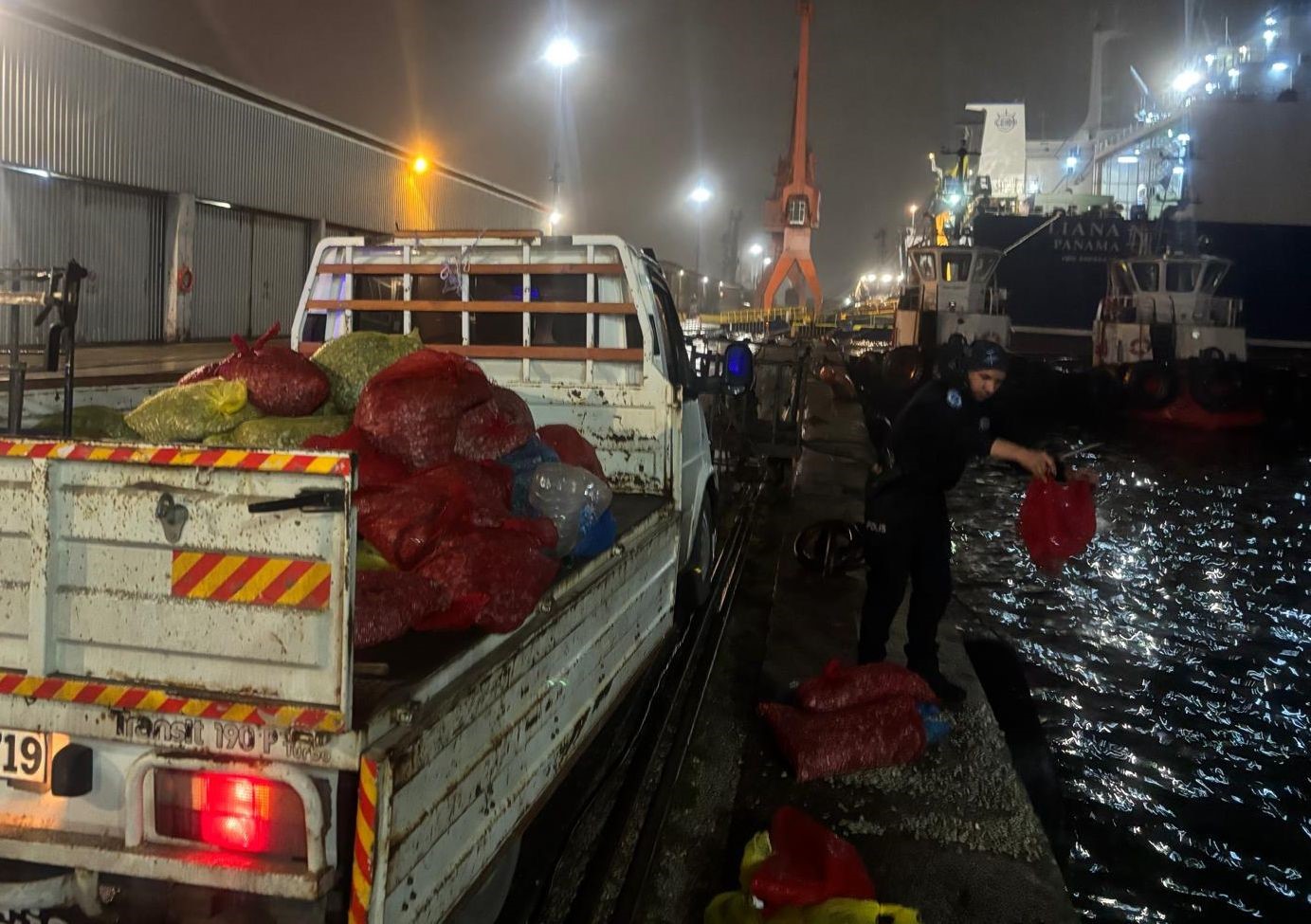 Samsun’da 2 ton kaçak midye ele geçildi
