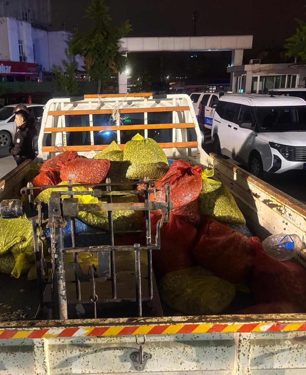 Samsun&rsquo;da 2 ton ka&ccedil;ak midye ele ge&ccedil;ildi
