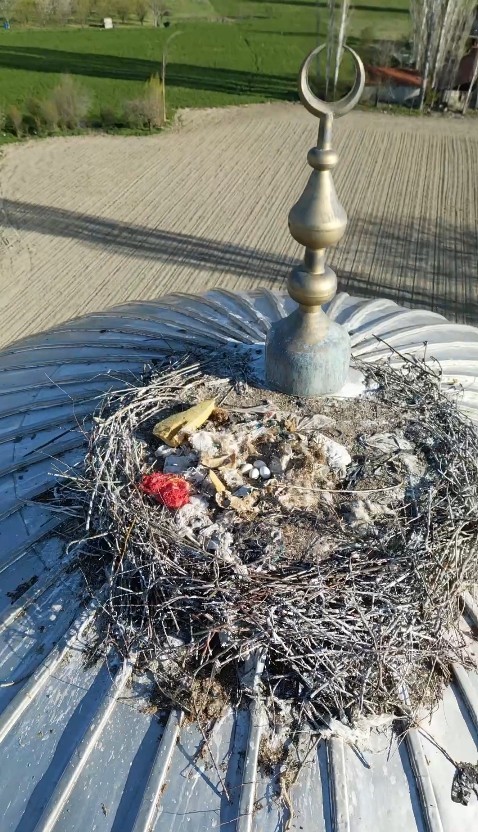 Her yıl aynı caminin kubbesine yuva yapan leylek cemaatin ilgi odağı oldu
