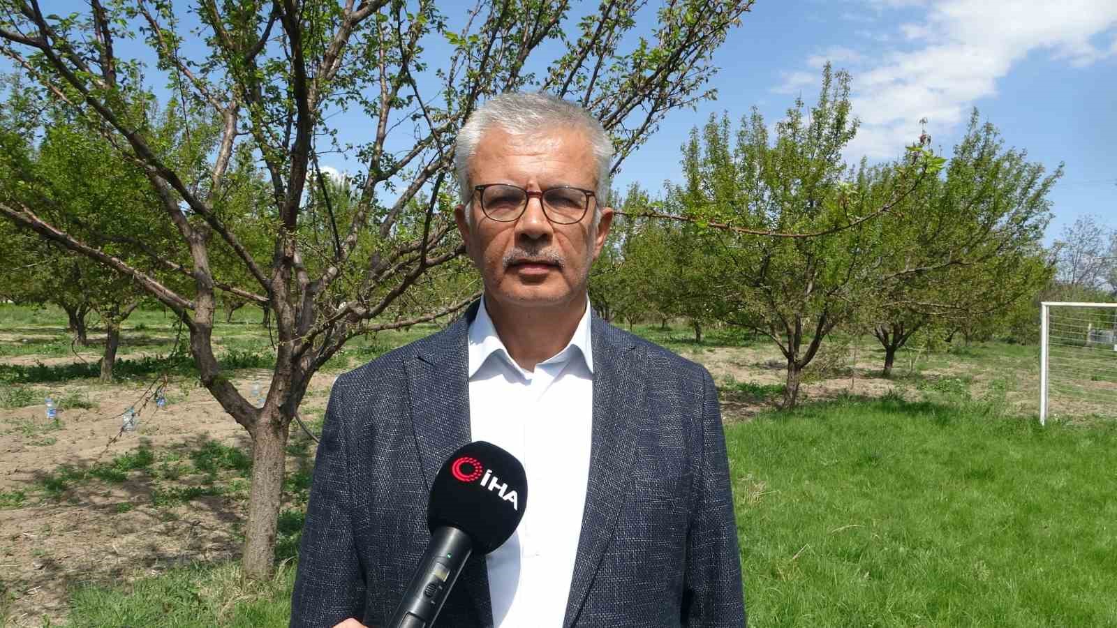 Malatya’da yüzyılın en büyük zirai ürün kaybı