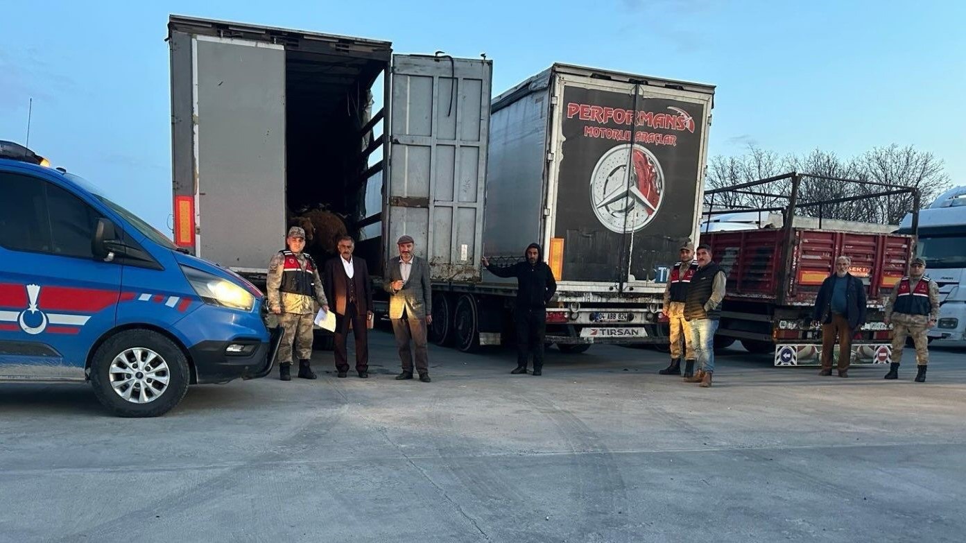 Ağrı’dan çalınan koyunlar Bitlis’te yakalandı