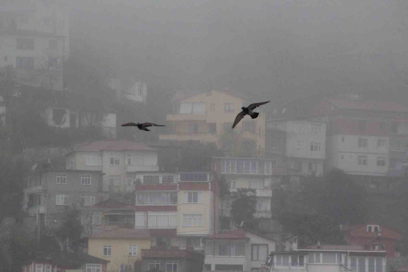 Ordu’da sis etkili oluyor