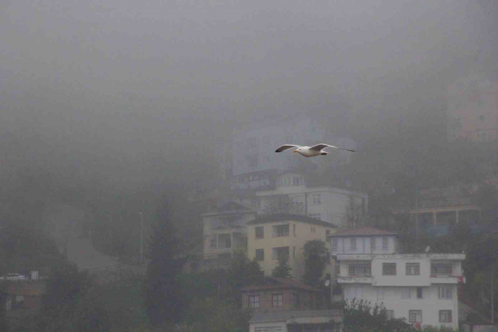 Ordu’da sis etkili oluyor