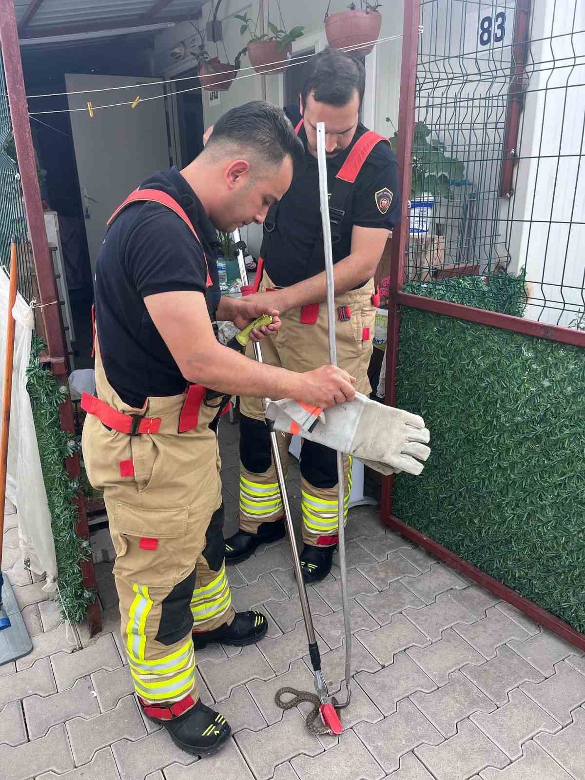 Konteynere giren yılanı itfaiye yakaladı