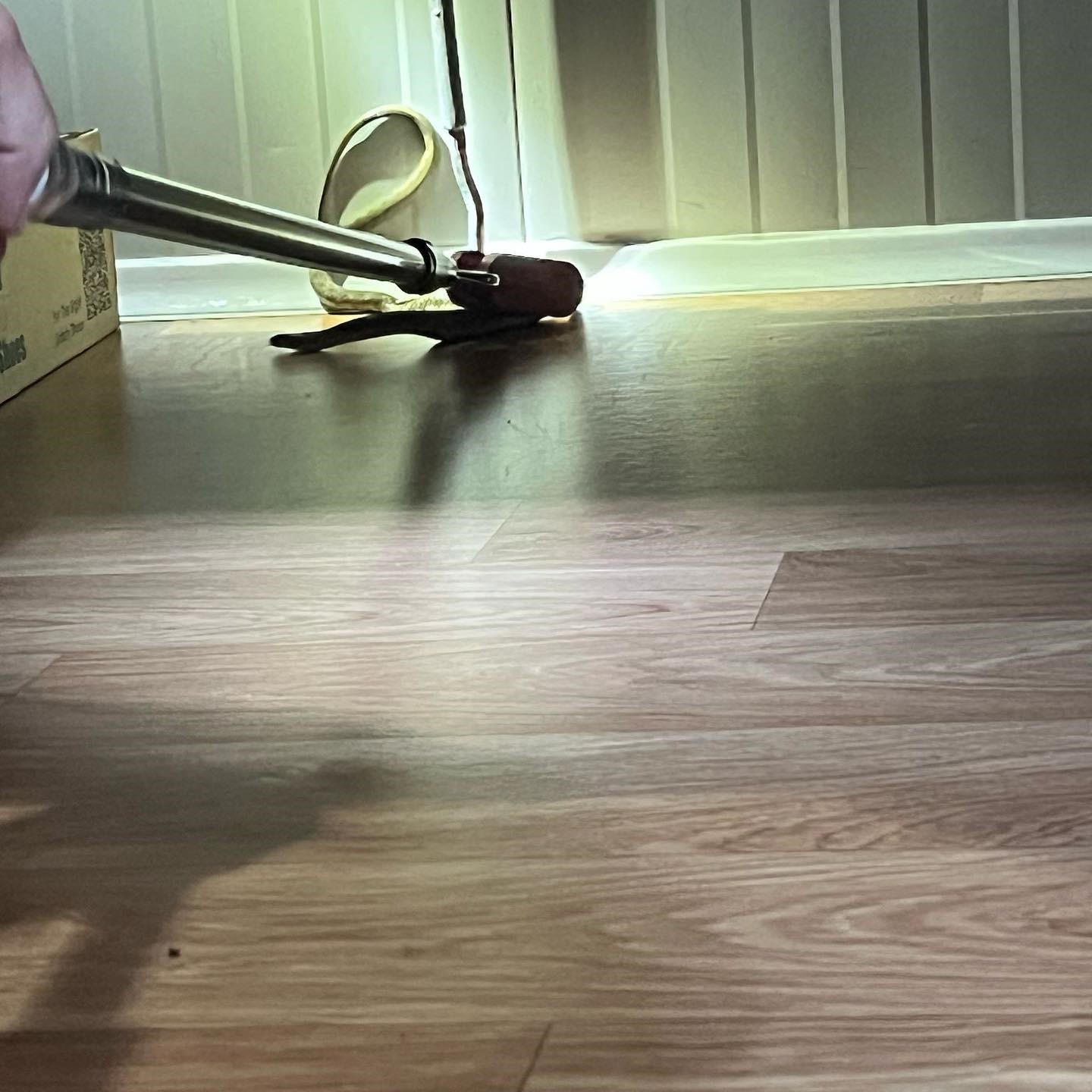 Konteynere giren yılanı itfaiye yakaladı