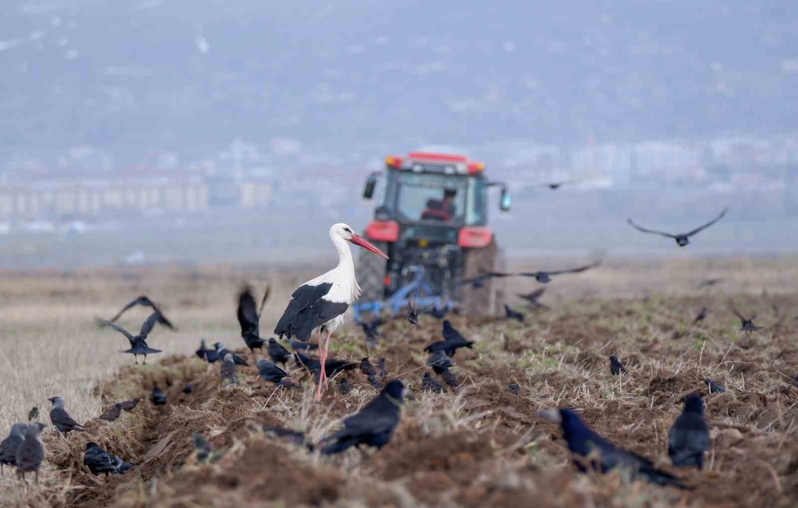 Erzurum’da traktör sayısı 22 bini geçti