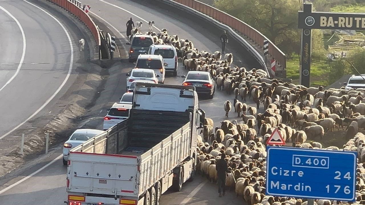 Göçerlerin Faraşin Yaylası yolculuğu başladı
