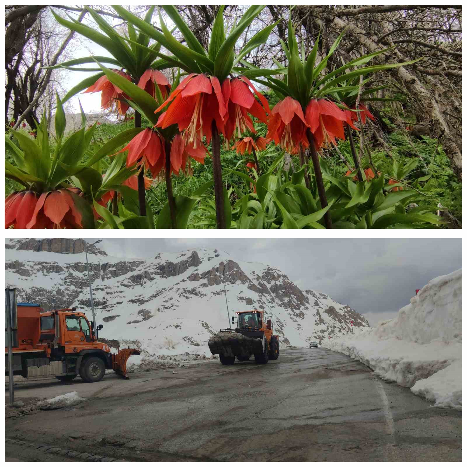 Van’da 3 bin rakımda kış, bin 850 rakımda bahar