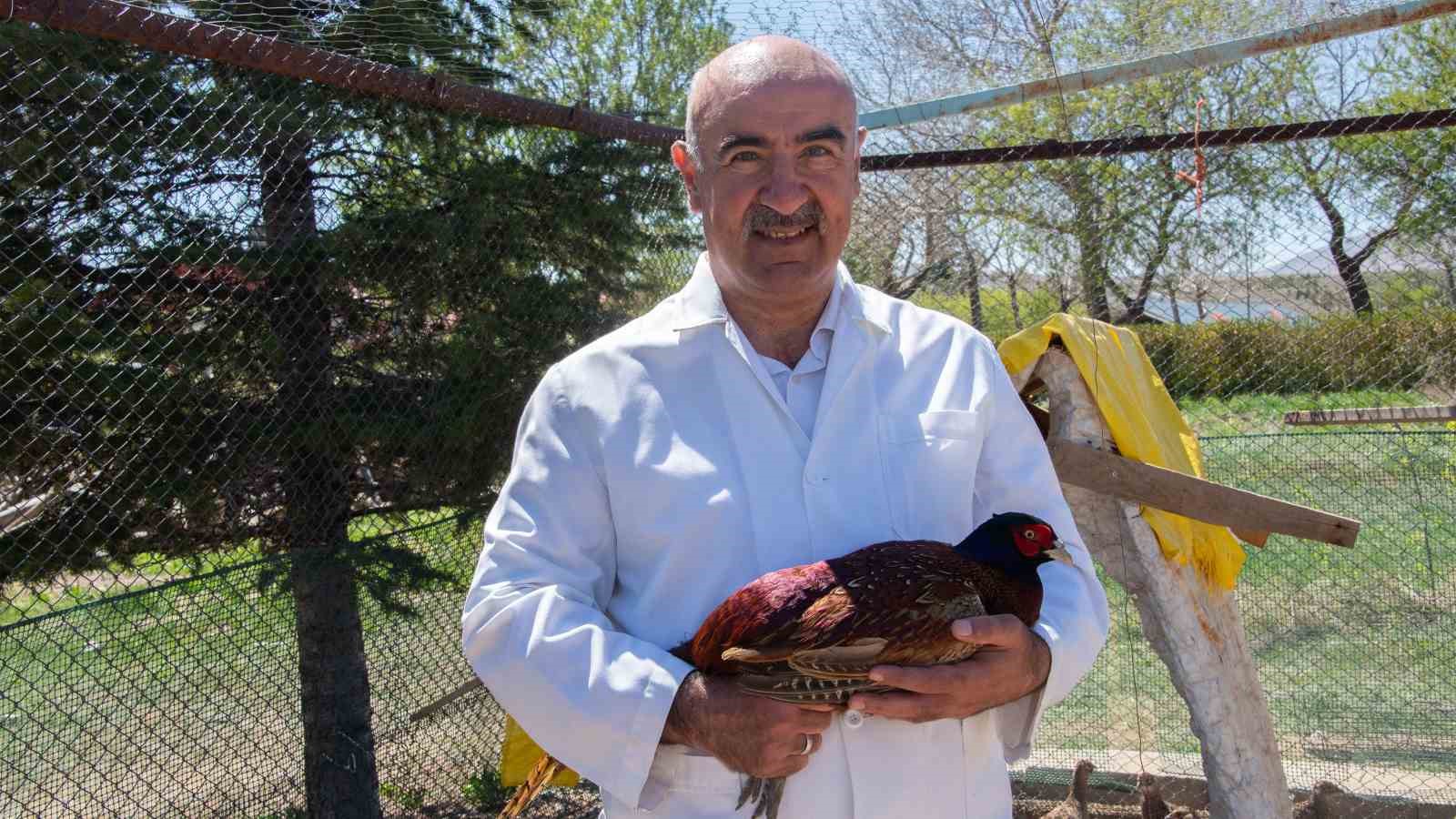 Sel&ccedil;uk &Uuml;niversitesi s&uuml;l&uuml;n yetiştiriciliğinde &ouml;nc&uuml; oldu
