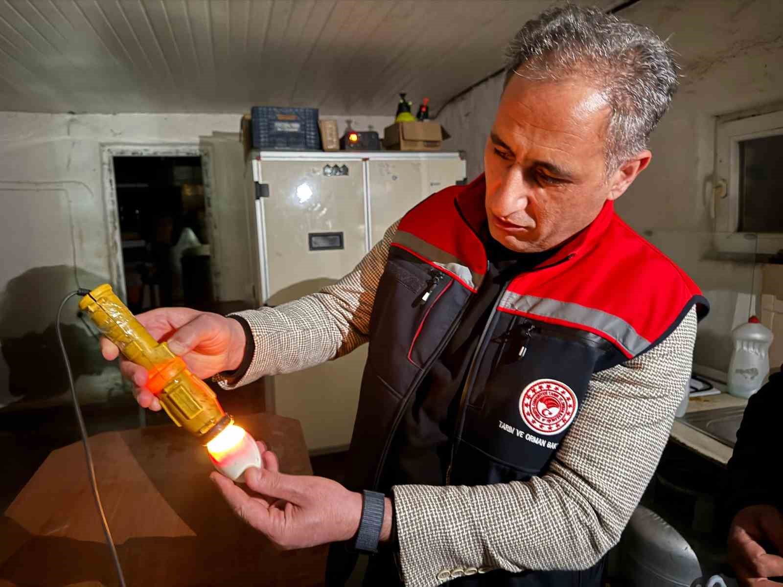 Kars’ta kaz yetiştiriciliğinde yeni dönem başlıyor