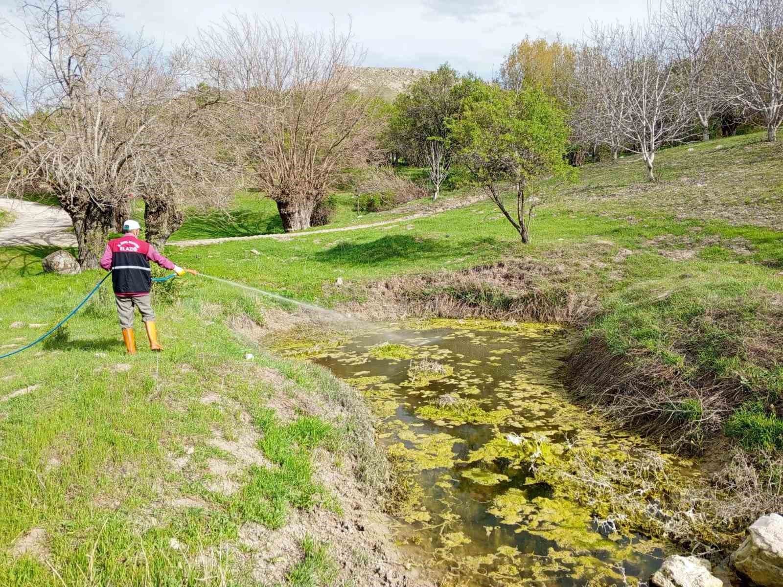 Elazığ&rsquo;da larva ile m&uuml;cadele s&uuml;r&uuml;yor

