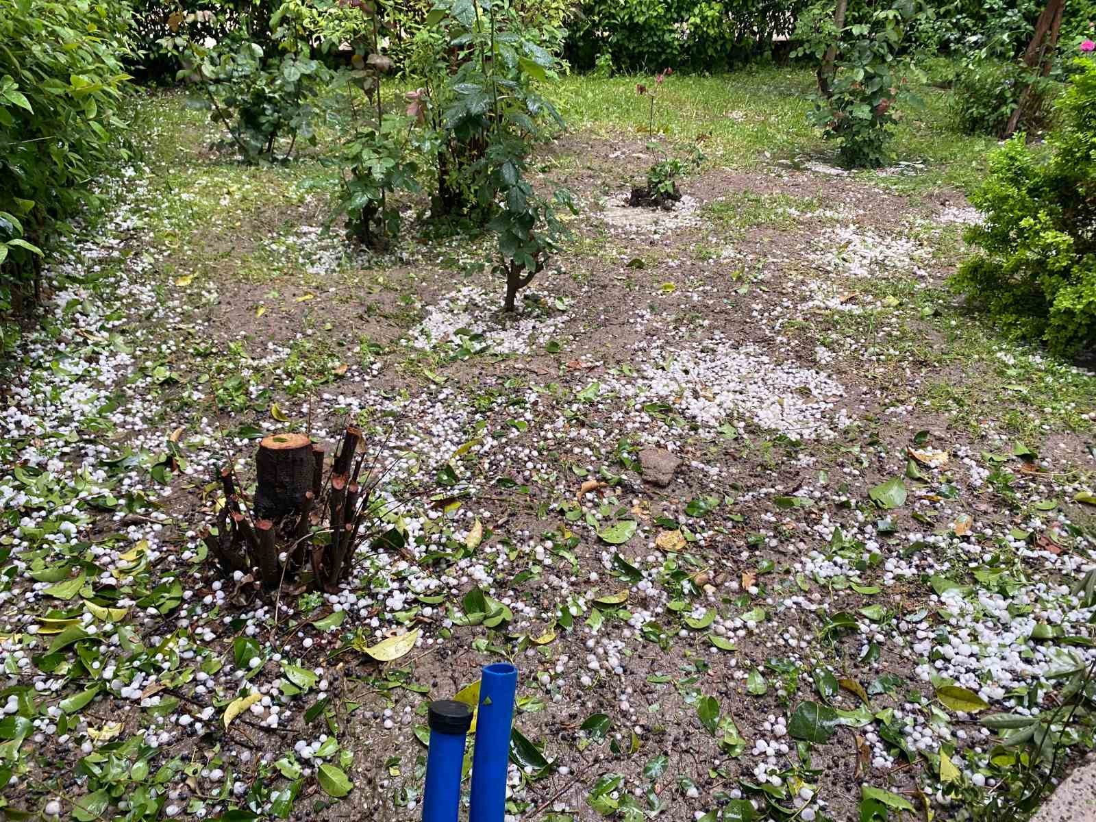 Üreticiyi donun ardından dolu vurdu