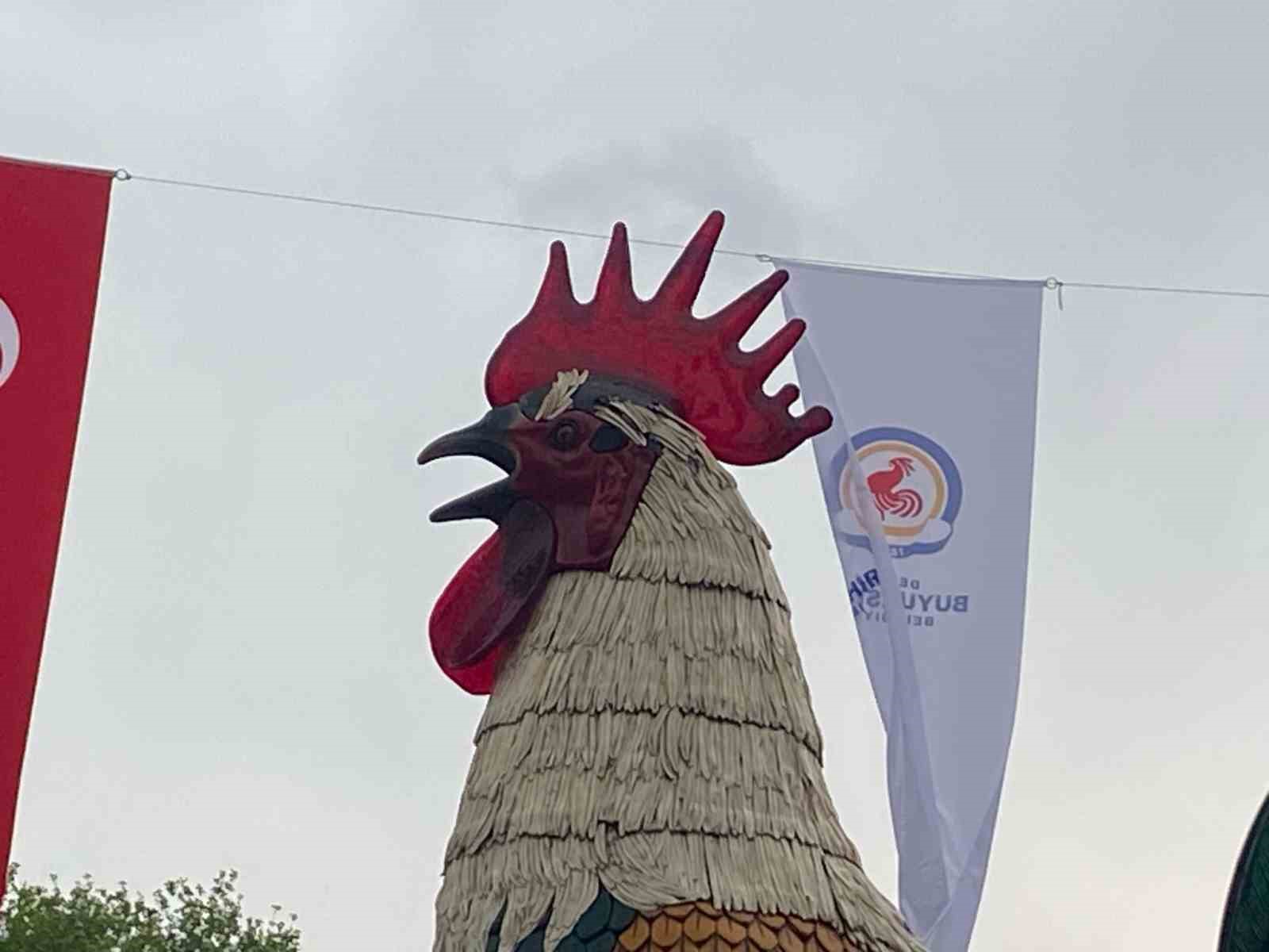 Denizli Horozu doludan nasibini aldı