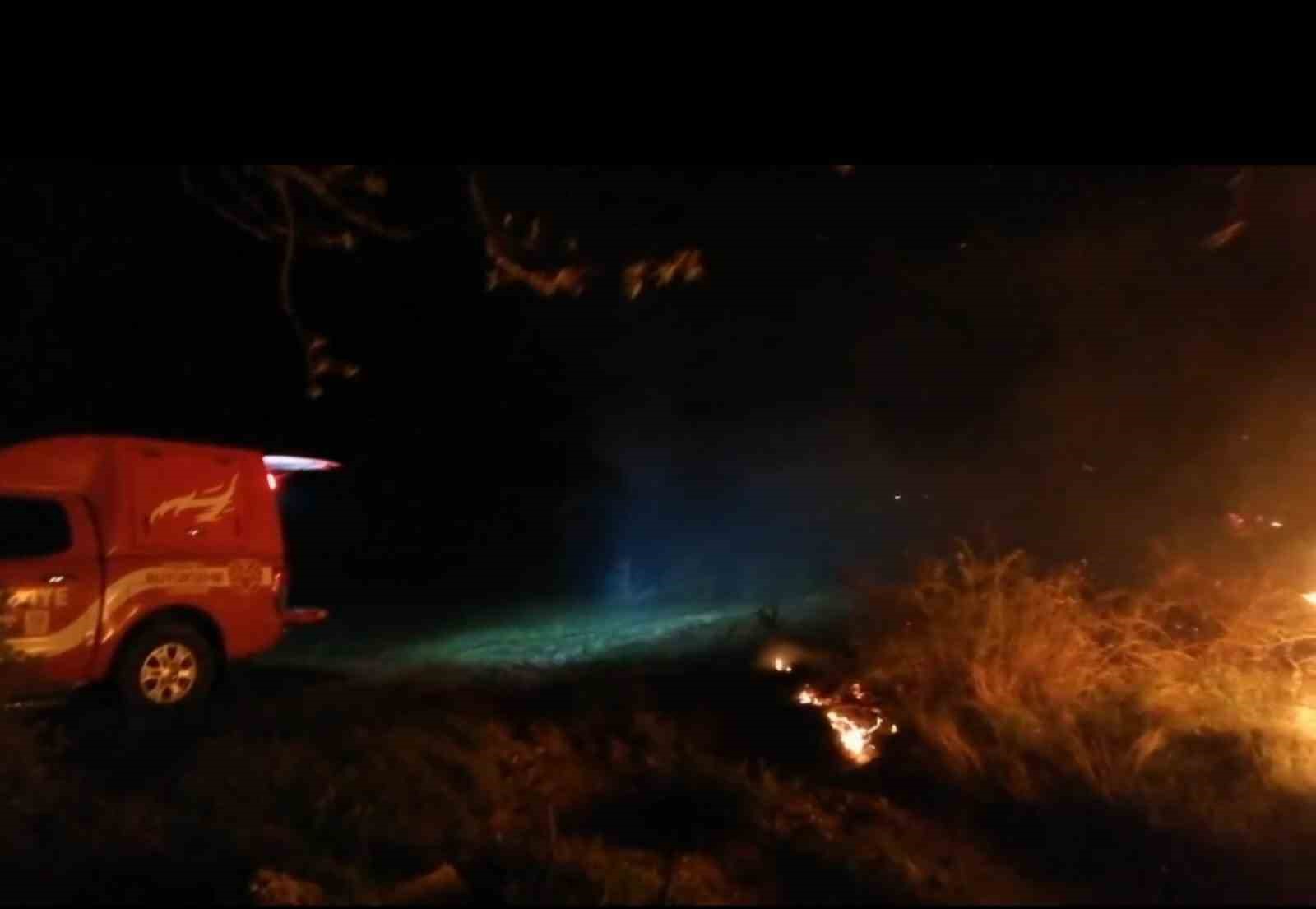 Malatya’da sazlık yangını
