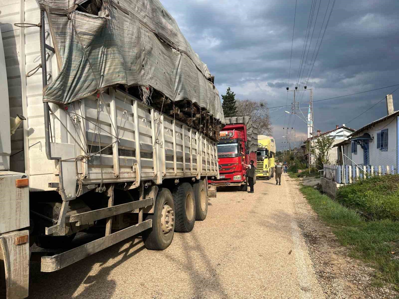Bilecik’te orman kaçakçılığına geçit yok