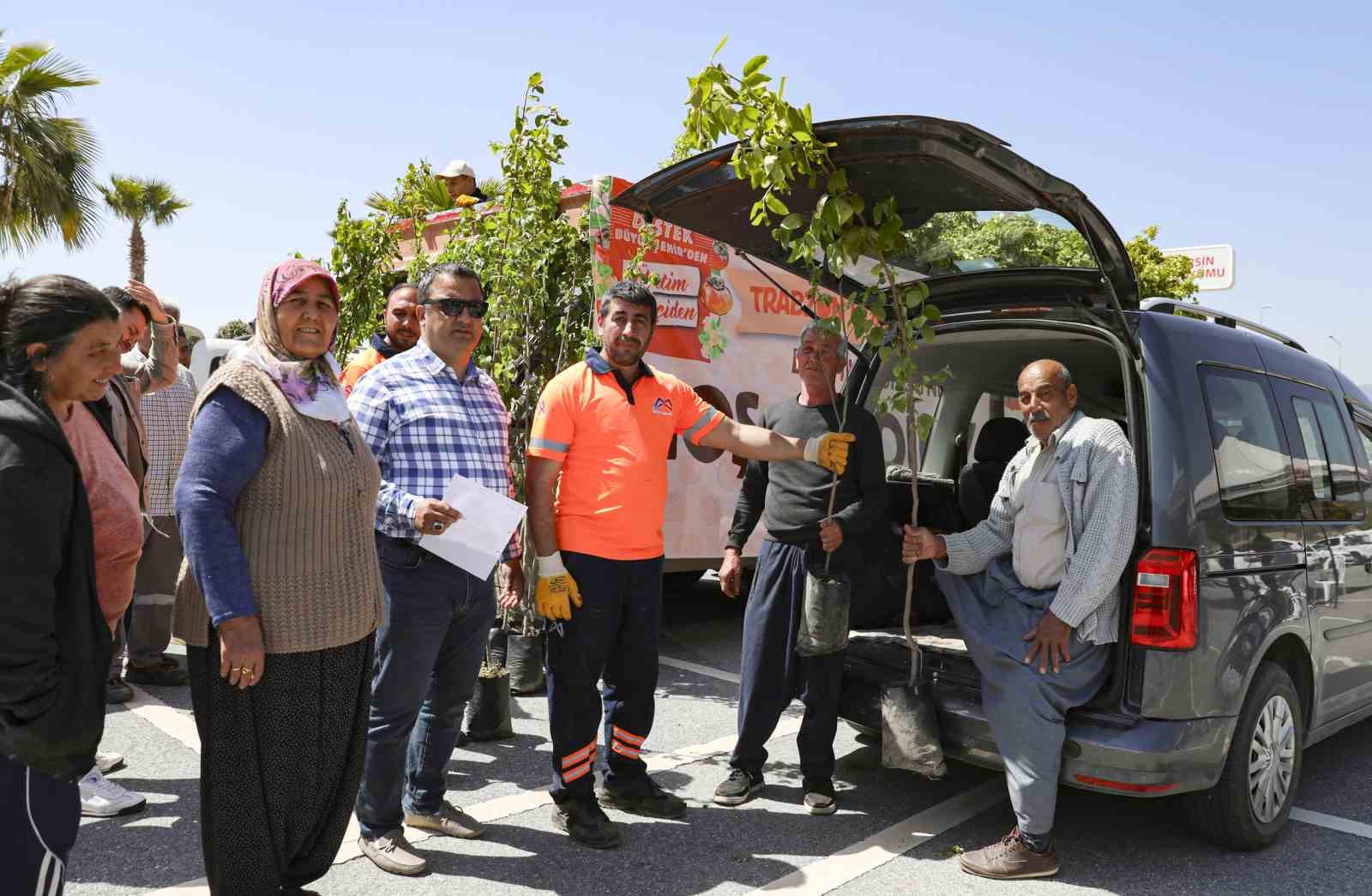 Mersin’de üreticilere Trabzon hurması fidanı dağıtılıyor