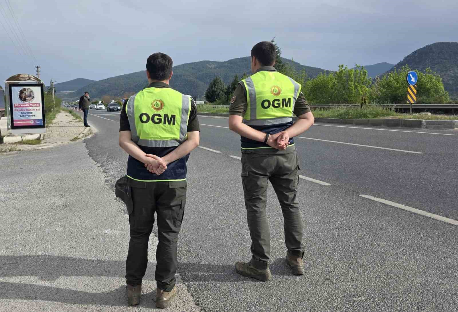 Muğla’da orman emvali kontrolleri sürüyor