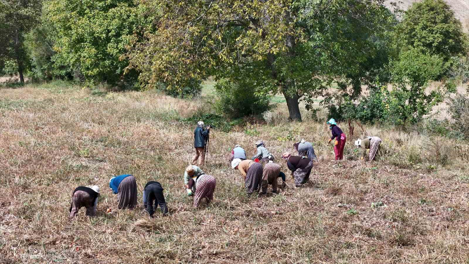 Çiftçilere destek ödemesi bugün yapılacak