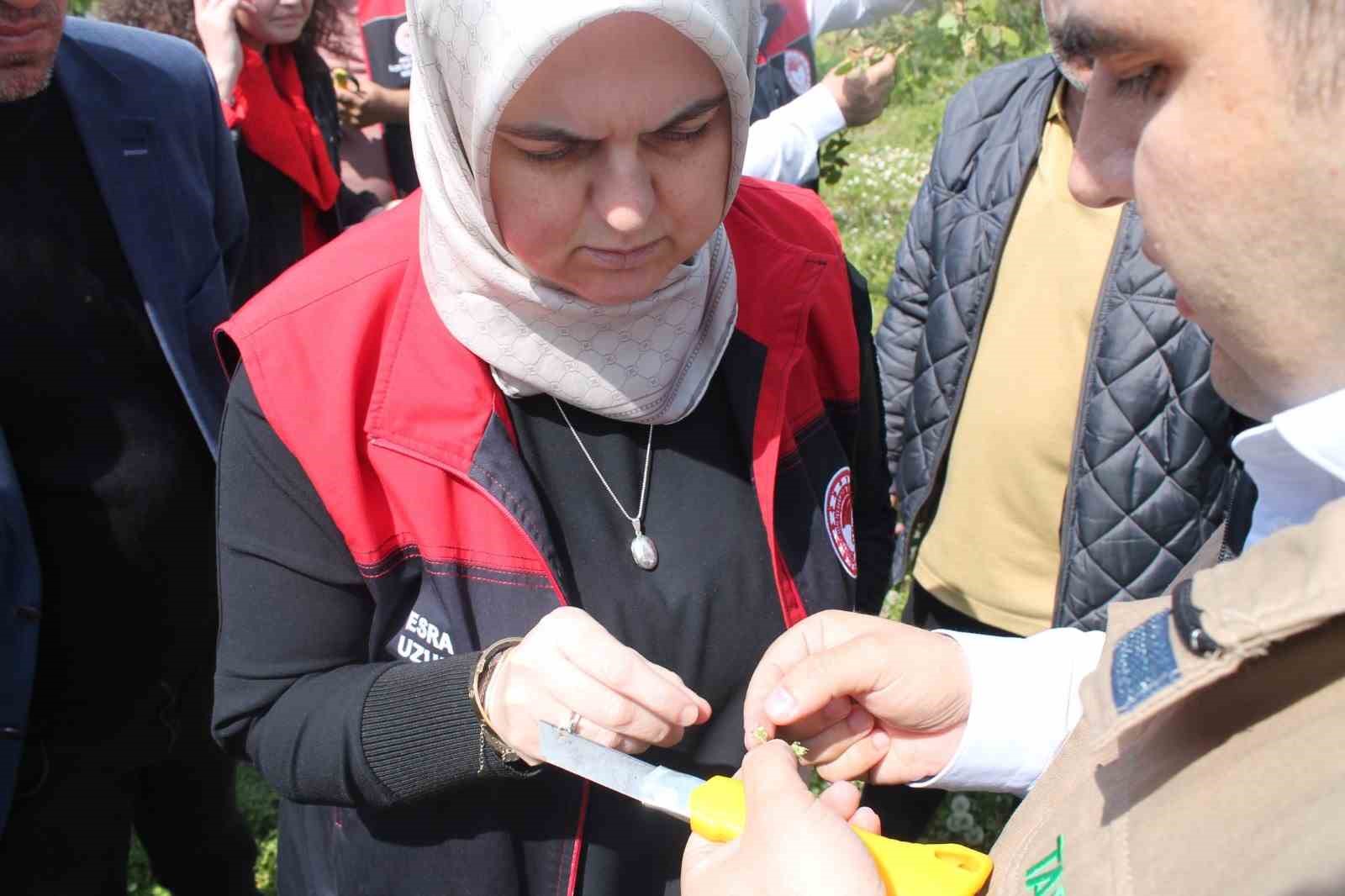 D&uuml;zce&rsquo;nin k&ouml;ylerinde inceleme s&uuml;r&uuml;yor
