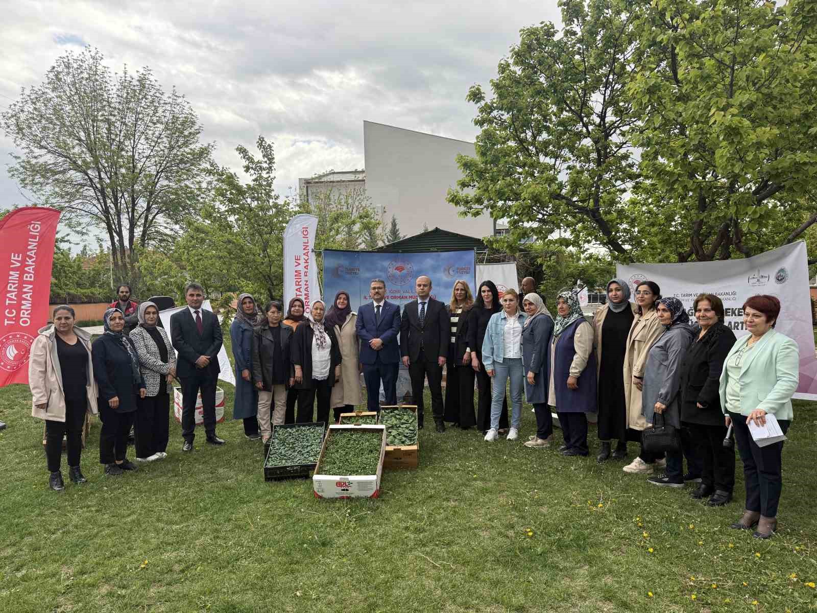 Iğdır’da kadın çiftçilere fide dağıtımı yapıldı