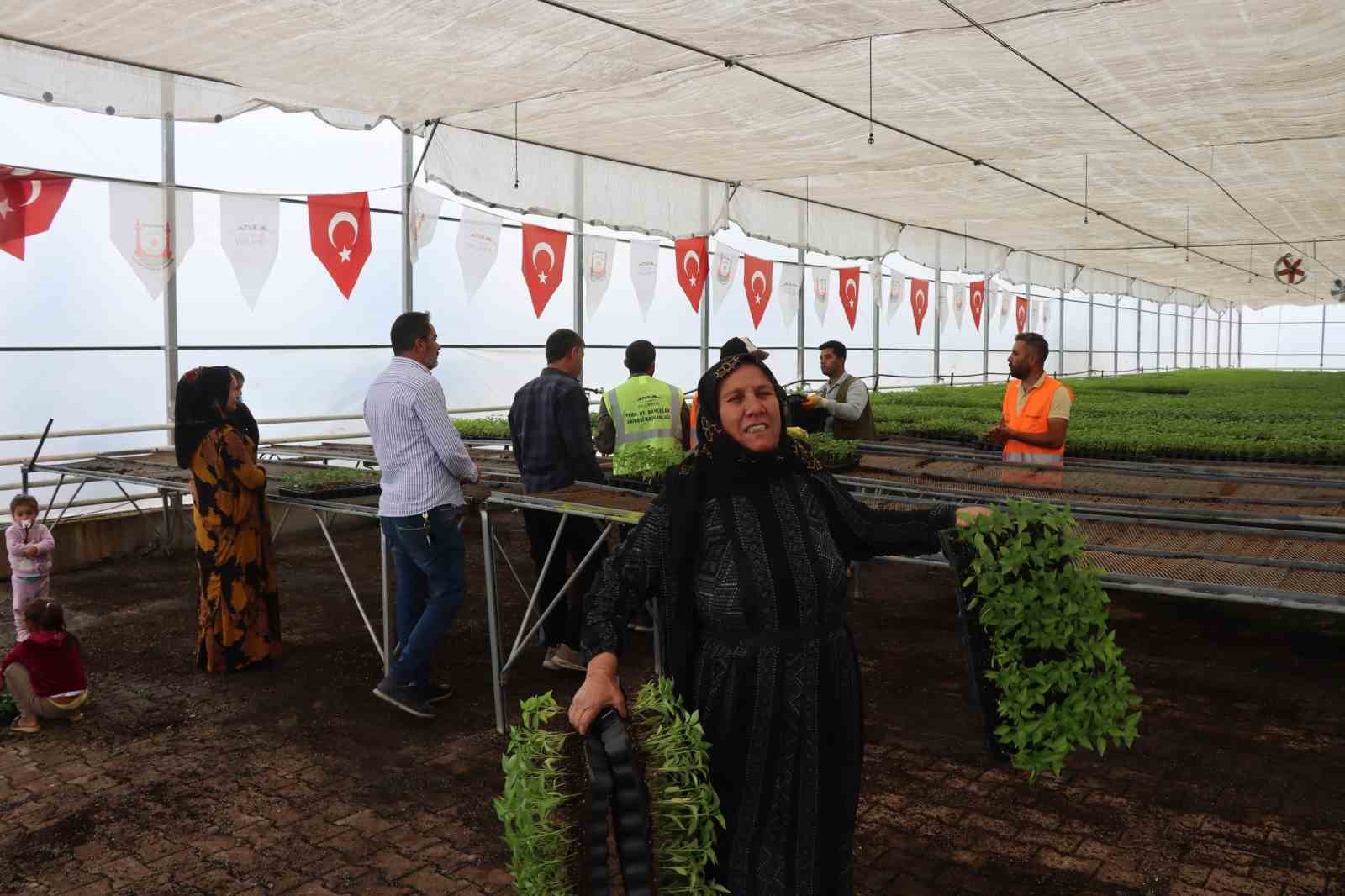 Şanlıurfa bu sene de ’acı’ya doyacak