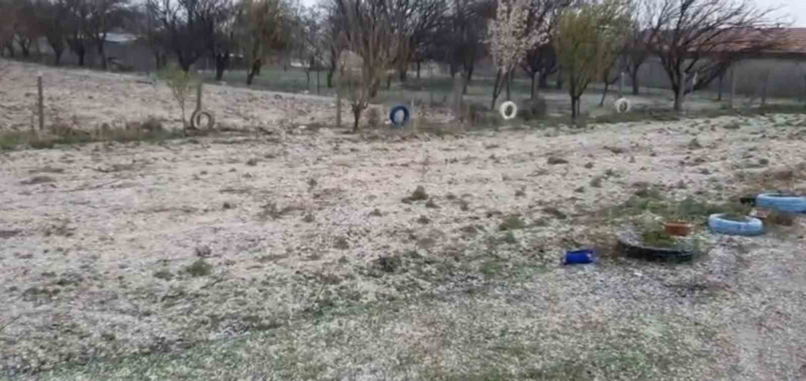 Dolu, hububatta kök hastalığına davetiye çıkardı