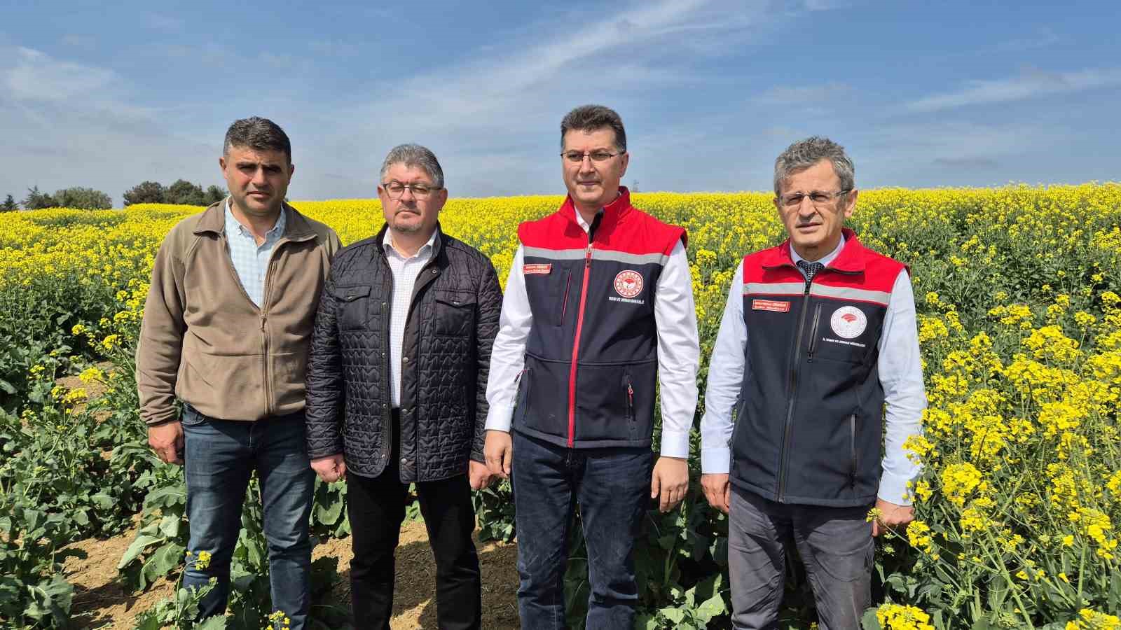 Tekirdağ İl Tarım Müdürü: "Arılar ölürse, hayat da durur"