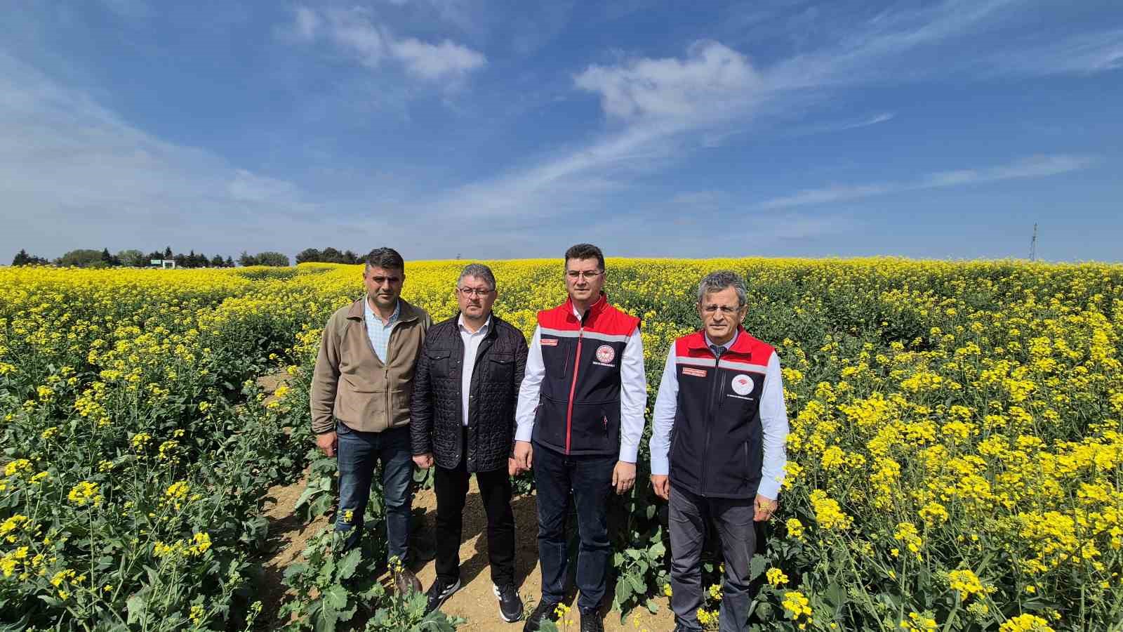 Tekirdağ İl Tarım Müdürü: "Arılar ölürse, hayat da durur"