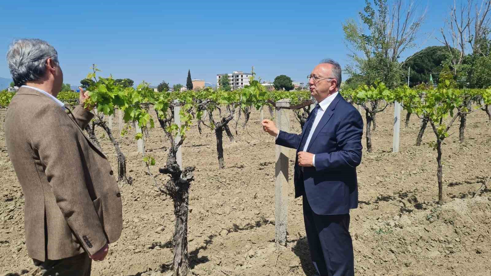 Büyükşehir’den don zararına uğrayan üreticilere destek