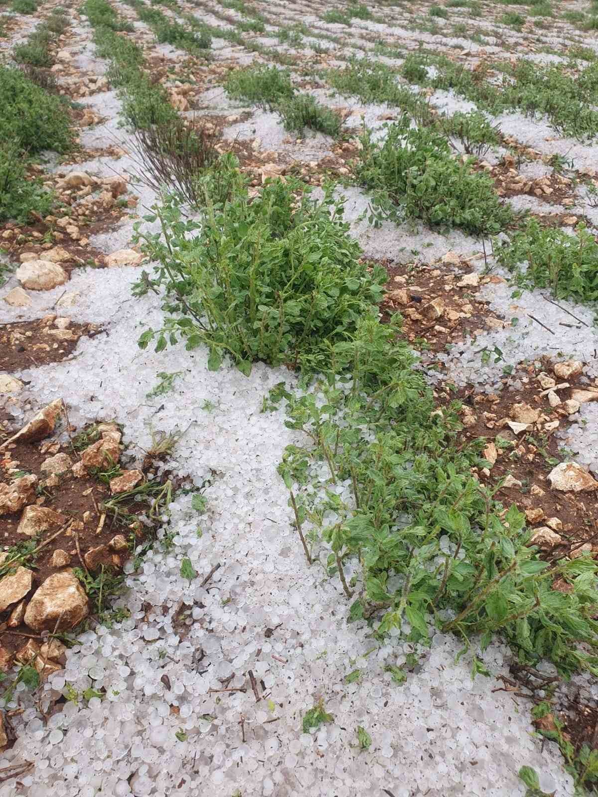 G&uuml;neyli &ccedil;ift&ccedil;ilerin umudu başka bahara kaldı
