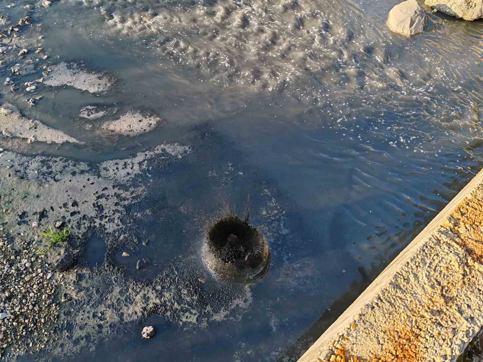 Fabrikaların zehrini kustuğu dere can &ccedil;ekişiyor
