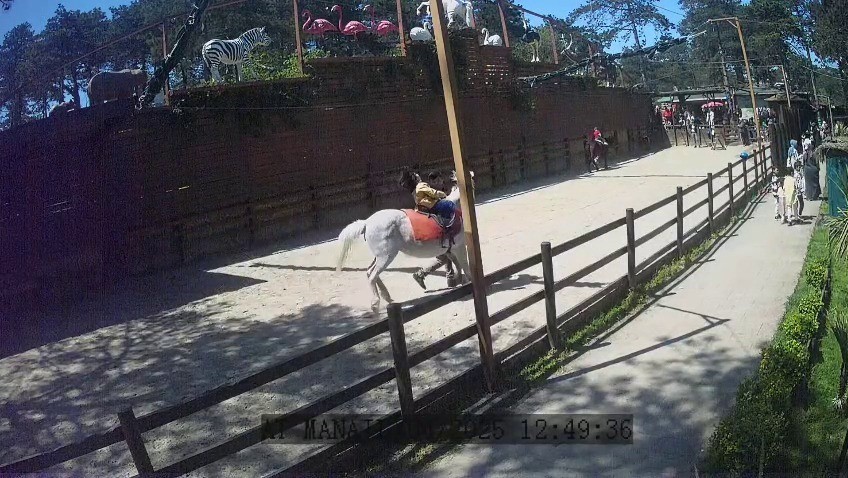 Çekmeköy Hayvanat Bahçesi’ndeki hayvanlar depremi böyle hissetti